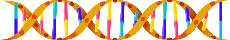 DNA