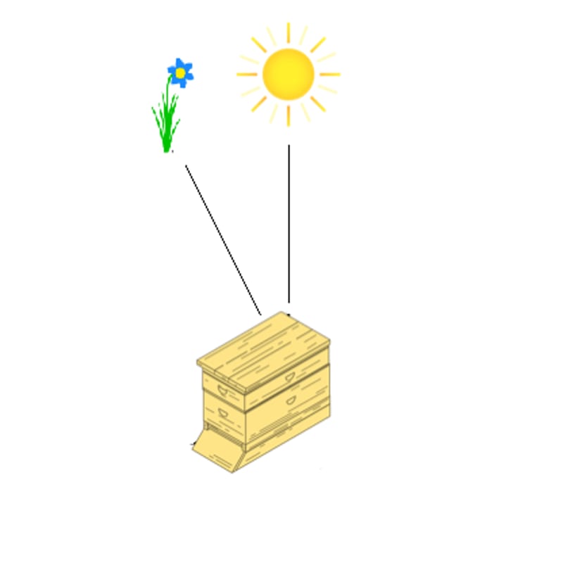 Futterquelle im Bezug zu Bienenstock und Sonne