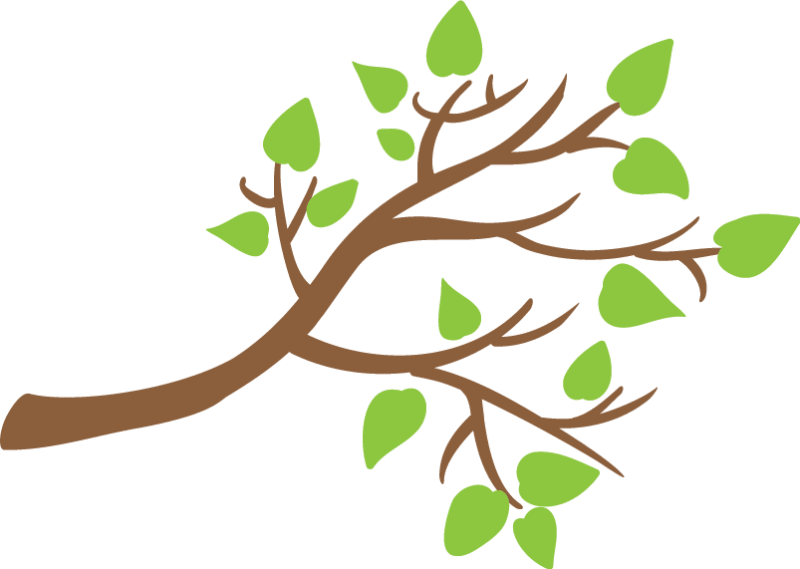 ein Ast mit Blättern ist abgebildet