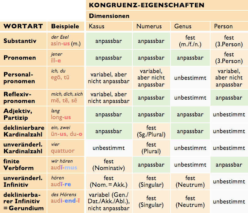 Deklination Klammer - Alle Fälle des Substantivs, Plural und Artikel