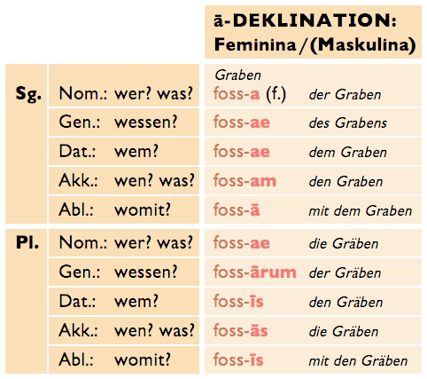 A Deklination O Und A Deklination Einfach Erklart