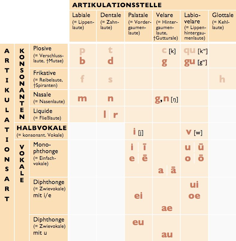 Lautsystem Lesen Einfach Erklart